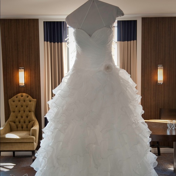 Alita Graham Wedding Dress - Picture 7 of 8